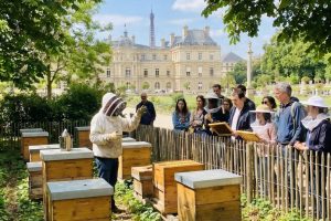 Le rucher-école du Jardin du Luxembourg : visite d’un lieu insolite au cœur de Paris