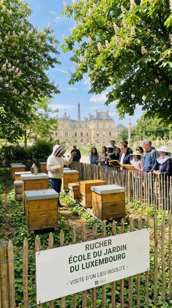 Le rucher-école du Jardin du Luxembourg : visite d’un lieu insolite au cœur de Paris