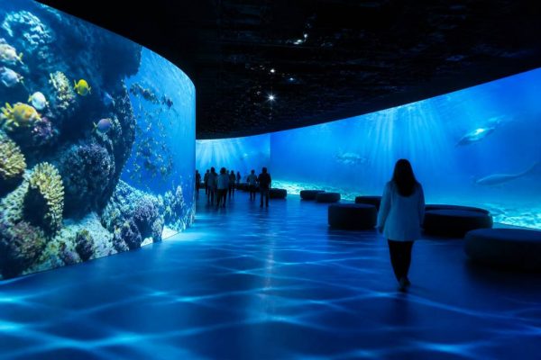 5 oceans paris : à la découverte de l’expérience immersive à paris