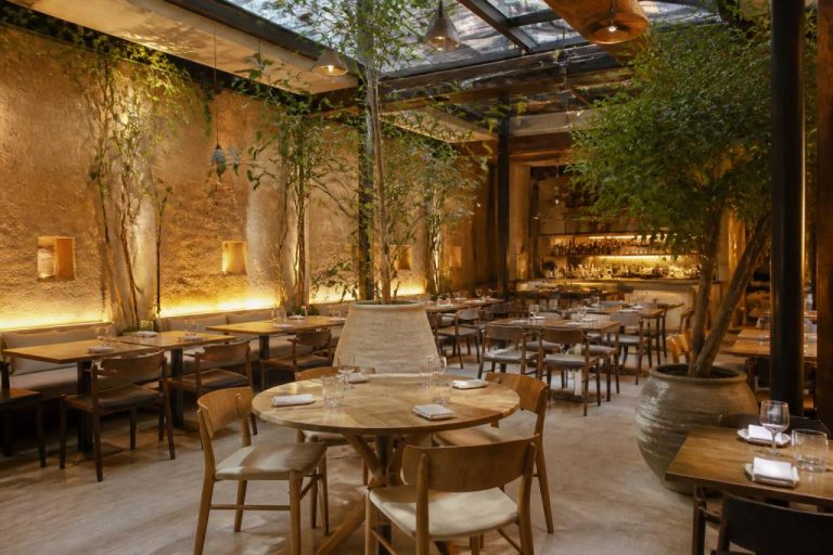 Dune restaurant paris : adresse, menu et ambiance à découvrir