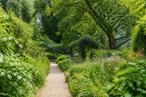 Le botanique Paris : un écrin de nature au cœur de la capitale